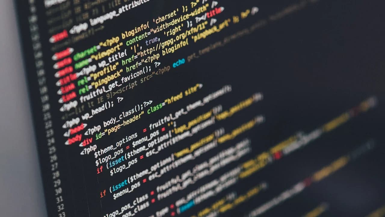 Career Paths in Philippine Tech: How Skaly Develops Junior Developers Into Senior Engineers
